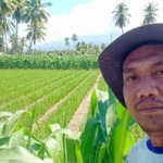 Sulhan Nasution Soroti Pengadaan Benih Distan Madina, Dorong Penangkaran Bersertifikat