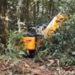 Gila! Pelaku Tambang Emas Ilegal Dari Pasbar Rusak Hutan Konservasi TNBG 