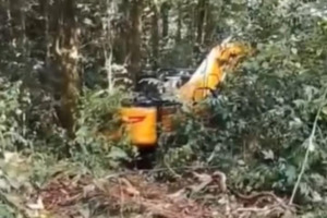TNBG Dinilai Kecolongan Terkait Aktivitas Tambang Emas Ilegal di Aek Nabontar