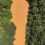 Akibat Tambang Emas Ilegal, Ribuan Warga Tak Bisa Manfaatkan Sungai Batang Natal. APH Tak Berkutik Kepenambang