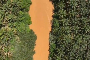 Akibat Tambang Emas Ilegal, Ribuan Warga Tak Bisa Manfaatkan Sungai Batang Natal. APH Tak Berkutik Kepenambang