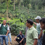 Komanja dan SRI Latih Petani Kopi di Ulupungkut