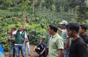 Komanja dan SRI Latih Petani Kopi di Ulupungkut